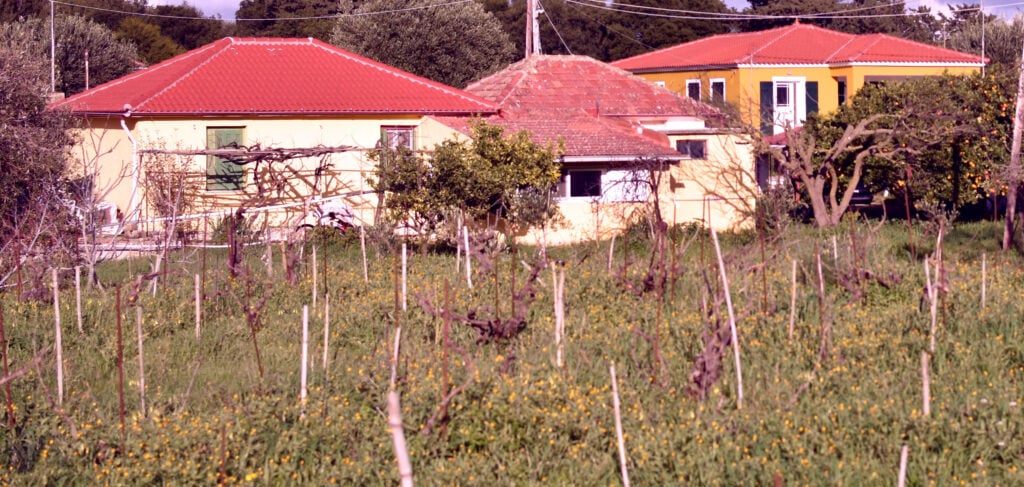 DSC 1558 1